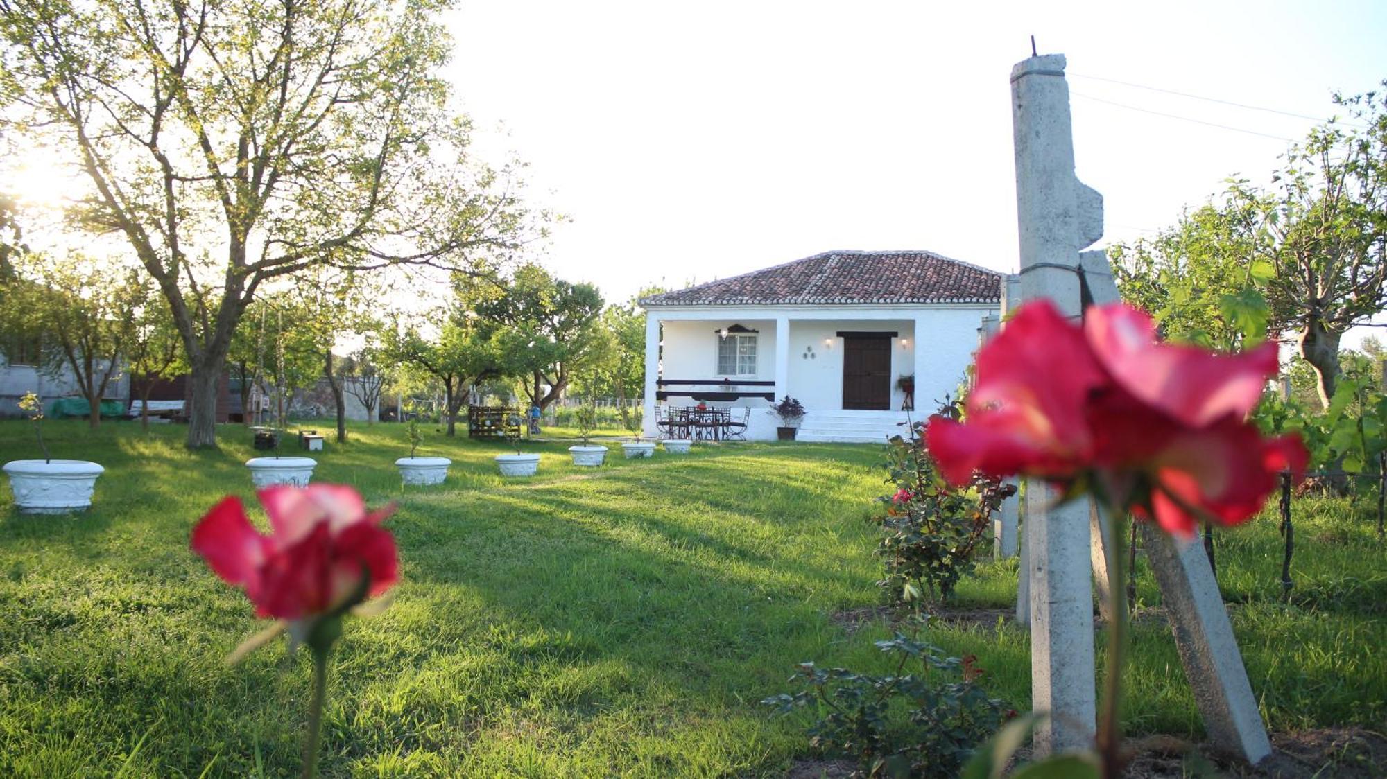 "Per Mik" Cottage In Vineyard Shkodra Kültér fotó