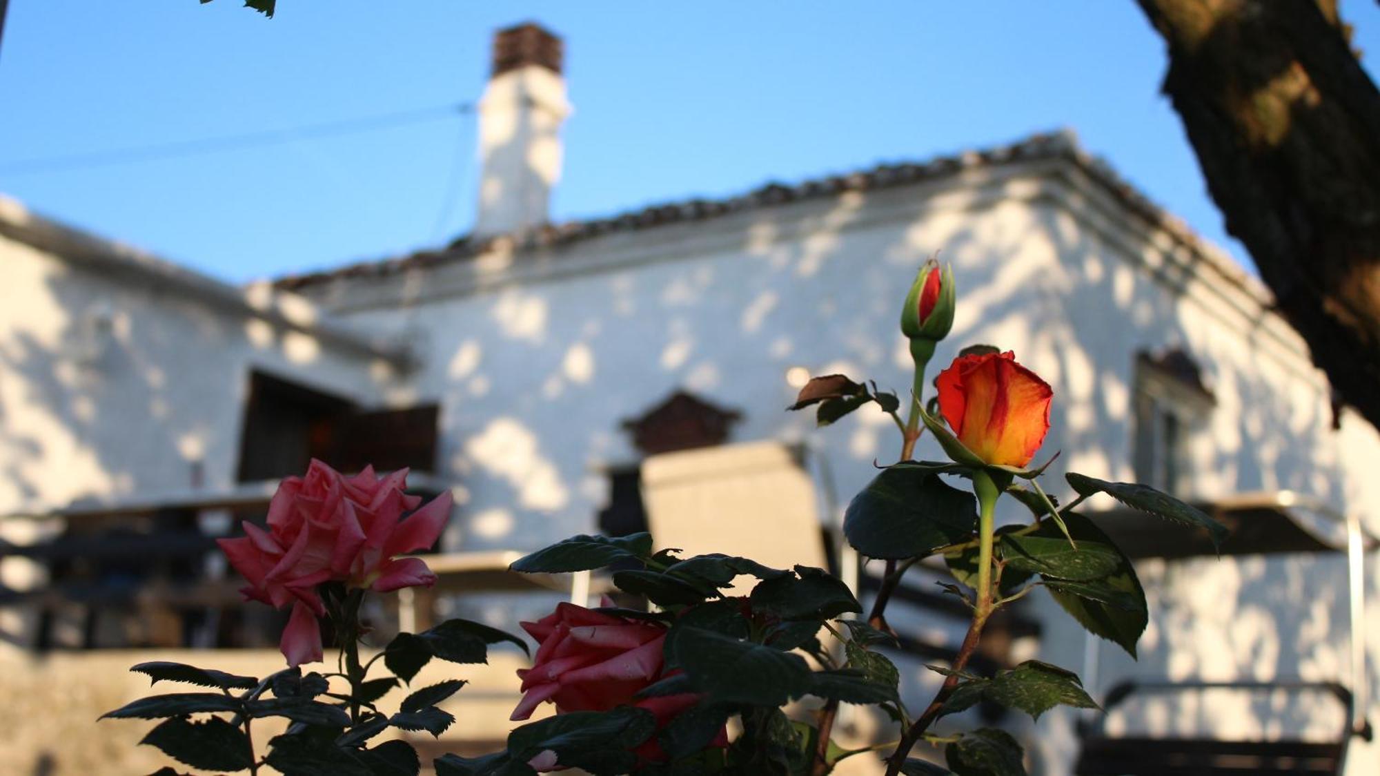 "Per Mik" Cottage In Vineyard Shkodra Kültér fotó