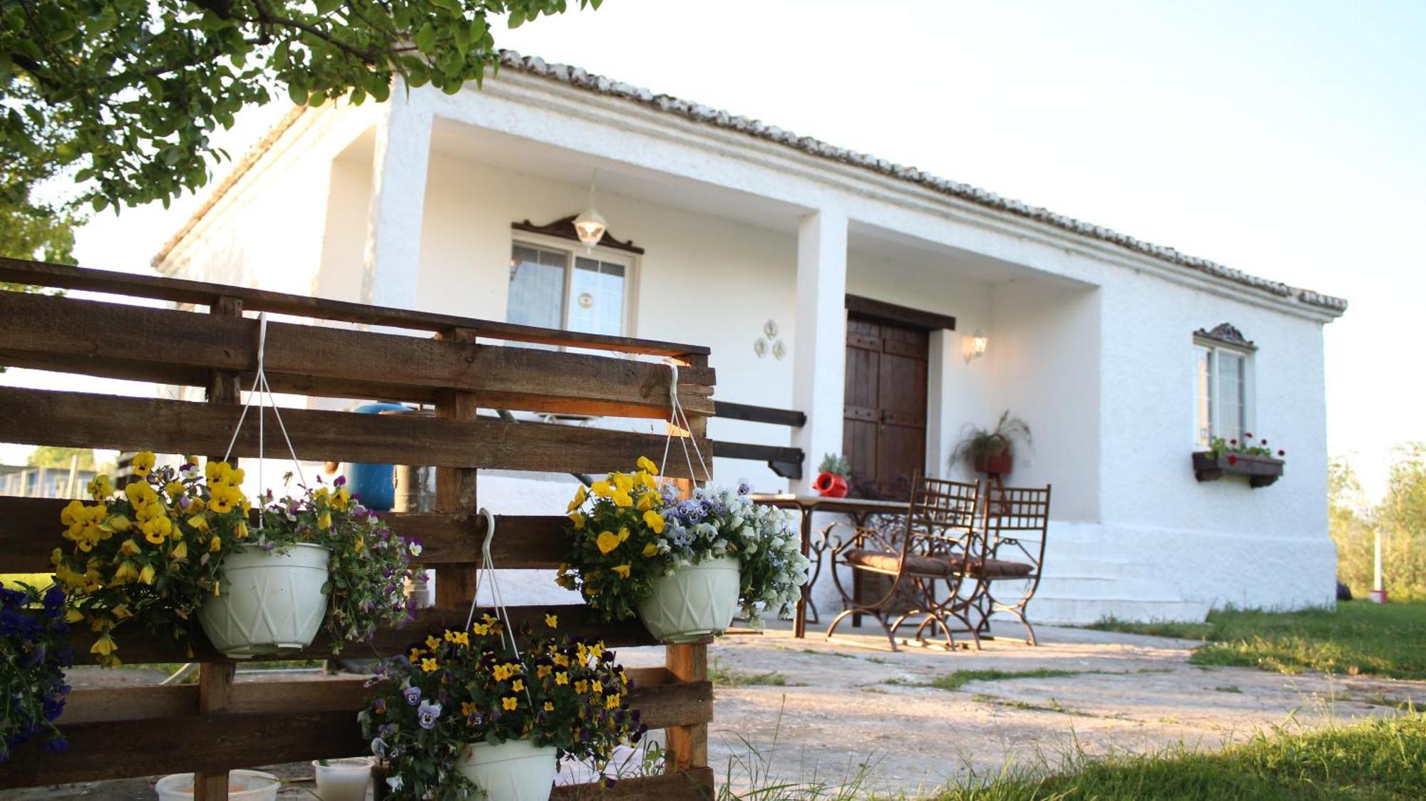 "Per Mik" Cottage In Vineyard Shkodra Kültér fotó